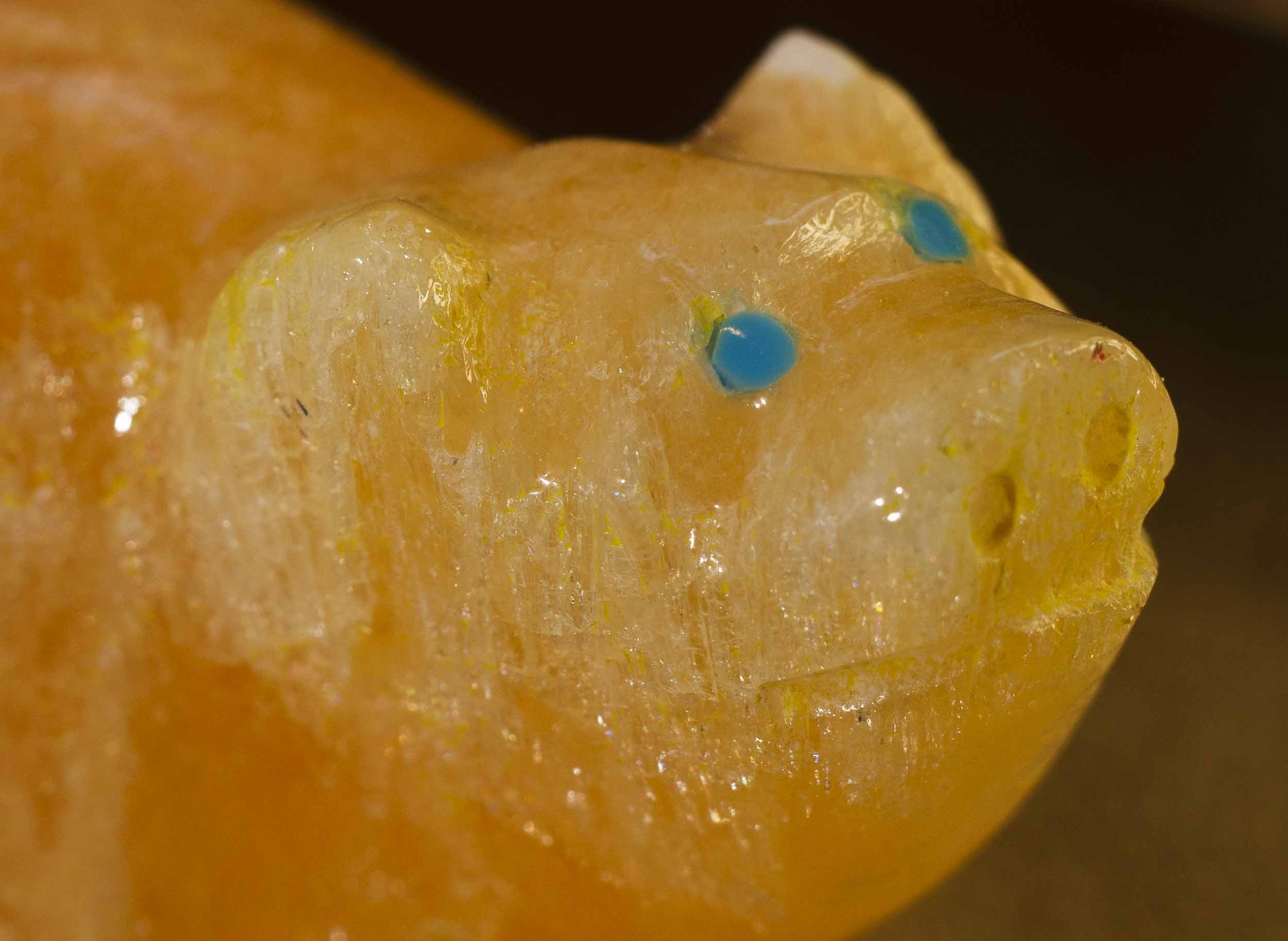 Delvin Leekya Mountain Lion